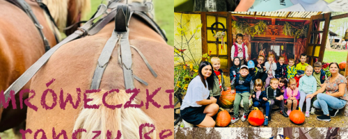 Mróweczki na Ranczu u Reni