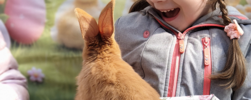 Wycieczka Wioska Wielkanocna Bratkowice 