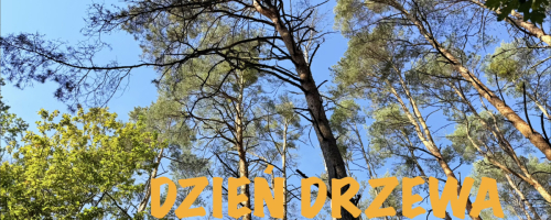 Mróweczki-Dzień Drzewa
